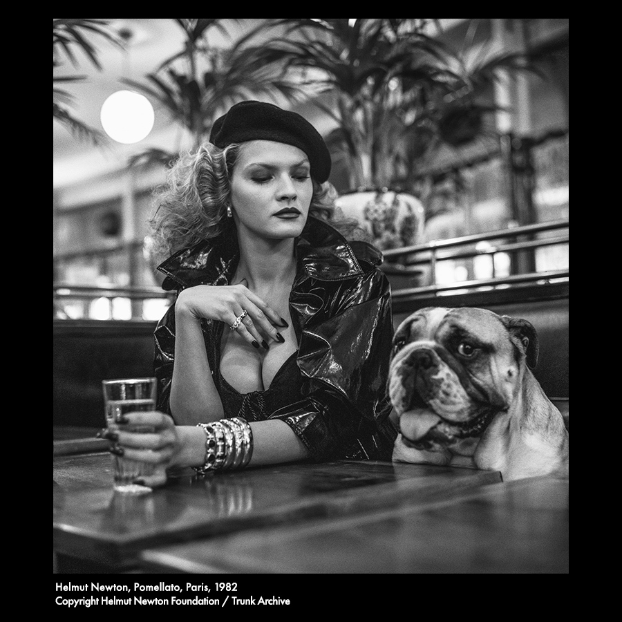 Pomellato Online Boutique | Jewelry - Rings, Earrings